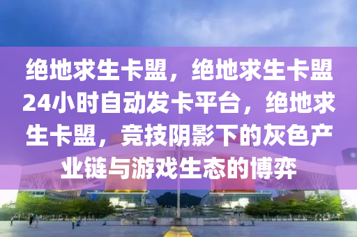 绝地求生卡盟，绝地求生卡盟24小时自动发卡平台，绝地求生卡盟，竞技阴影下的灰色产业链与游戏生态的博弈