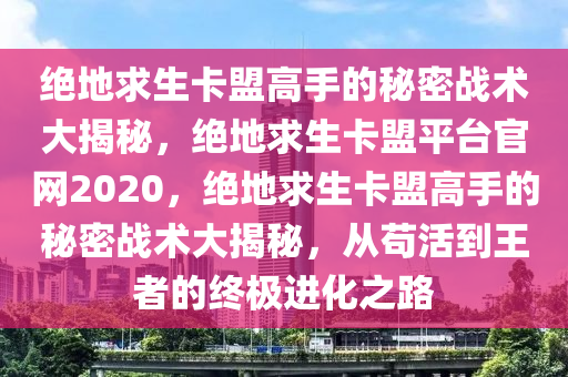 绝地求生卡盟高手的秘密战术大揭秘，绝地求生卡盟平台官网2020，绝地求生卡盟高手的秘密战术大揭秘，从苟活到王者的终极进化之路