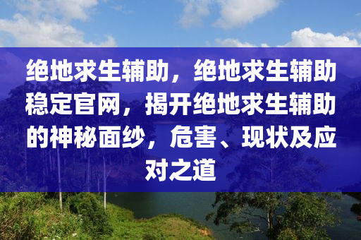 绝地求生辅助，绝地求生辅助稳定官网，揭开绝地求生辅助的神秘面纱，危害、现状及应对之道