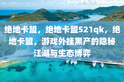 绝地卡盟，绝地卡盟521qk，绝地卡盟，游戏外挂黑产的隐秘江湖与生态博弈