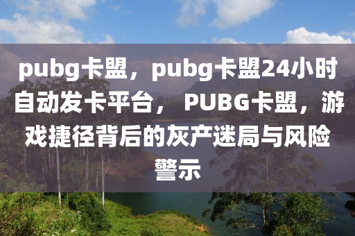 pubg卡盟，pubg卡盟24小时自动发卡平台， PUBG卡盟，游戏捷径背后的灰产迷局与风险警示