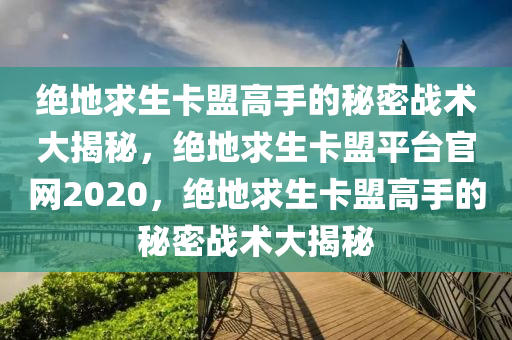绝地求生卡盟高手的秘密战术大揭秘，绝地求生卡盟平台官网2020，绝地求生卡盟高手的秘密战术大揭秘