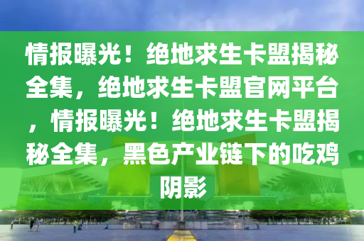 情报曝光！绝地求生卡盟揭秘全集，绝地求生卡盟官网平台，情报曝光！绝地求生卡盟揭秘全集，黑色产业链下的吃鸡阴影