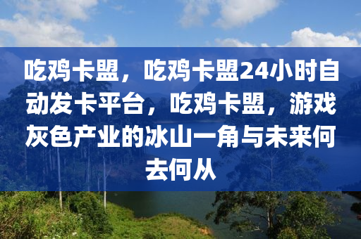 吃鸡卡盟，吃鸡卡盟24小时自动发卡平台，吃鸡卡盟，游戏灰色产业的冰山一角与未来何去何从