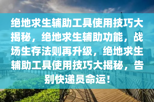 绝地求生辅助工具使用技巧大揭秘，绝地求生辅助功能，战场生存法则再升级，绝地求生辅助工具使用技巧大揭秘，告别快递员命运！