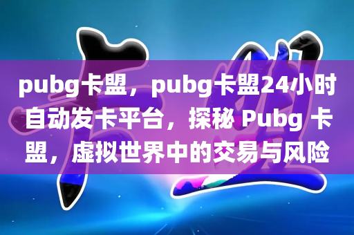 pubg卡盟，pubg卡盟24小时自动发卡平台，探秘 Pubg 卡盟，虚拟世界中的交易与风险