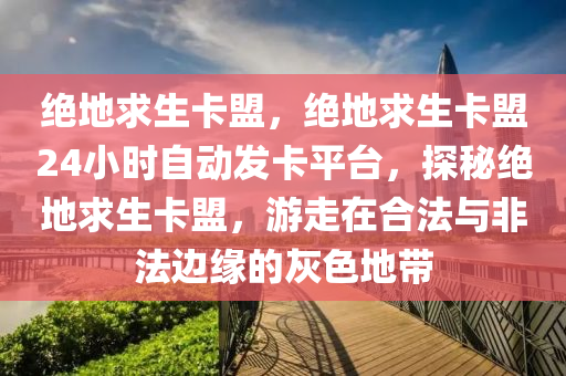 绝地求生卡盟，绝地求生卡盟24小时自动发卡平台，探秘绝地求生卡盟，游走在合法与非法边缘的灰色地带
