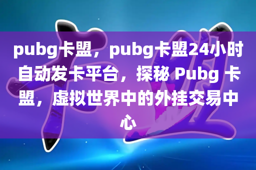 pubg卡盟，pubg卡盟24小时自动发卡平台，探秘 Pubg 卡盟，虚拟世界中的外挂交易中心