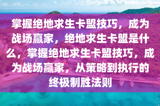 掌握绝地求生卡盟技巧，成为战场赢家，绝地求生卡盟是什么，掌握绝地求生卡盟技巧，成为战场赢家，从策略到执行的终极制胜法则