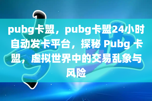 pubg卡盟，pubg卡盟24小时自动发卡平台，探秘 Pubg 卡盟，虚拟世界中的交易乱象与风险