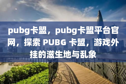 pubg卡盟，pubg卡盟平台官网，探索 PUBG 卡盟，游戏外挂的滋生地与乱象