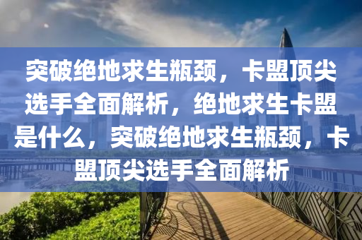 突破绝地求生瓶颈，卡盟顶尖选手全面解析，绝地求生卡盟是什么，突破绝地求生瓶颈，卡盟顶尖选手全面解析