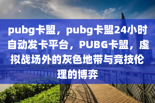 pubg卡盟，pubg卡盟24小时自动发卡平台，PUBG卡盟，虚拟战场外的灰色地带与竞技伦理的博弈