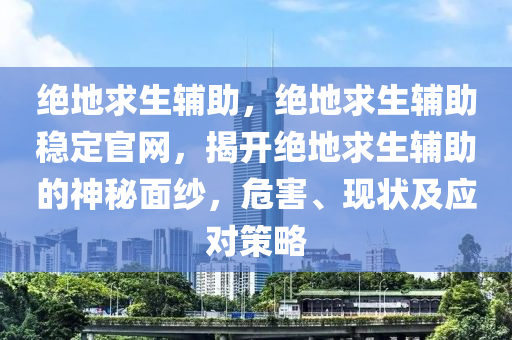 绝地求生辅助，绝地求生辅助稳定官网，揭开绝地求生辅助的神秘面纱，危害、现状及应对策略