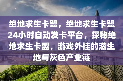绝地求生卡盟，绝地求生卡盟24小时自动发卡平台，探秘绝地求生卡盟，游戏外挂的滋生地与灰色产业链