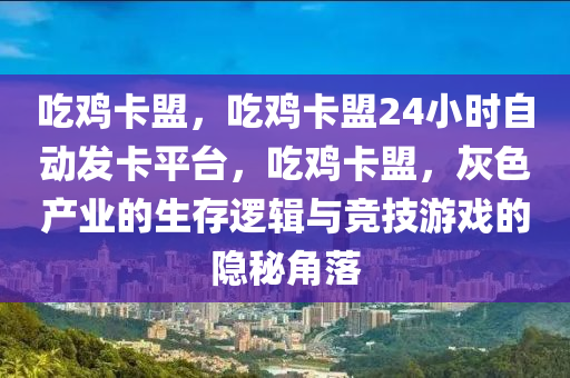 吃鸡卡盟，吃鸡卡盟24小时自动发卡平台，吃鸡卡盟，灰色产业的生存逻辑与竞技游戏的隐秘角落