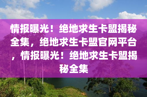 情报曝光！绝地求生卡盟揭秘全集，绝地求生卡盟官网平台，情报曝光！绝地求生卡盟揭秘全集