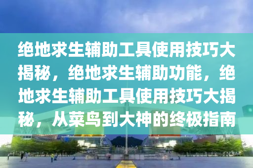 绝地求生辅助工具使用技巧大揭秘，绝地求生辅助功能，绝地求生辅助工具使用技巧大揭秘，从菜鸟到大神的终极指南