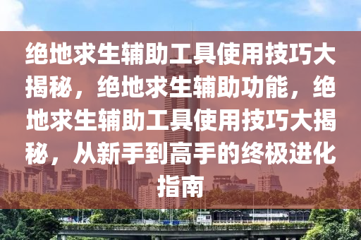 绝地求生辅助工具使用技巧大揭秘，绝地求生辅助功能，绝地求生辅助工具使用技巧大揭秘，从新手到高手的终极进化指南