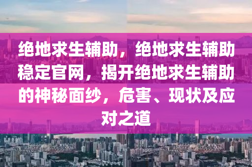 绝地求生辅助，绝地求生辅助稳定官网，揭开绝地求生辅助的神秘面纱，危害、现状及应对之道