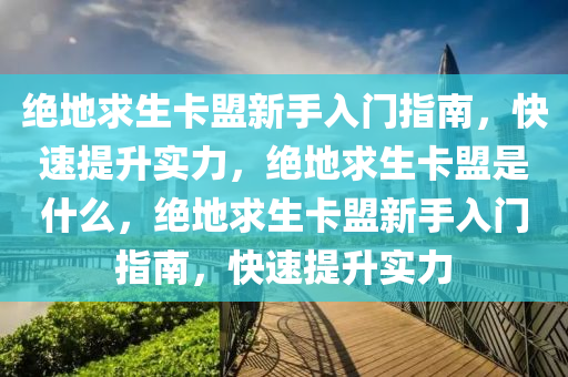 绝地求生卡盟新手入门指南，快速提升实力，绝地求生卡盟是什么，绝地求生卡盟新手入门指南，快速提升实力