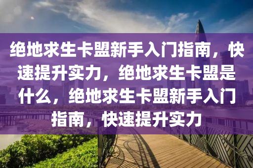 绝地求生卡盟新手入门指南，快速提升实力，绝地求生卡盟是什么，绝地求生卡盟新手入门指南，快速提升实力