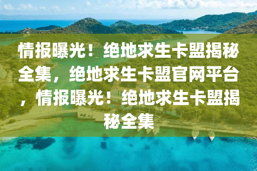 情报曝光！绝地求生卡盟揭秘全集，绝地求生卡盟官网平台，情报曝光！绝地求生卡盟揭秘全集