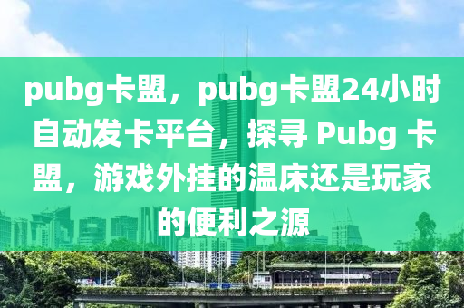 pubg卡盟，pubg卡盟24小时自动发卡平台，探寻 Pubg 卡盟，游戏外挂的温床还是玩家的便利之源