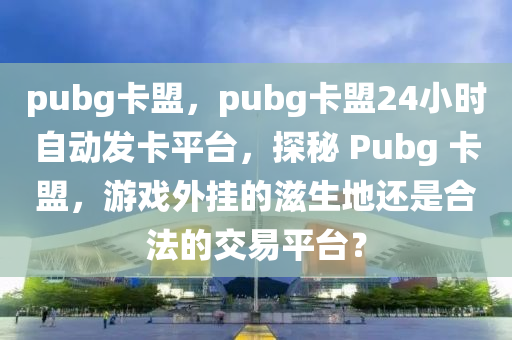 pubg卡盟，pubg卡盟24小时自动发卡平台，探秘 Pubg 卡盟，游戏外挂的滋生地还是合法的交易平台？