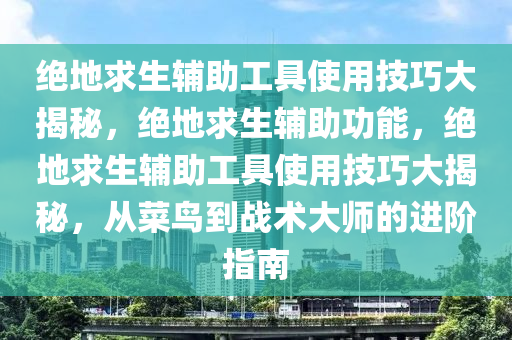 绝地求生辅助工具使用技巧大揭秘，绝地求生辅助功能，绝地求生辅助工具使用技巧大揭秘，从菜鸟到战术大师的进阶指南