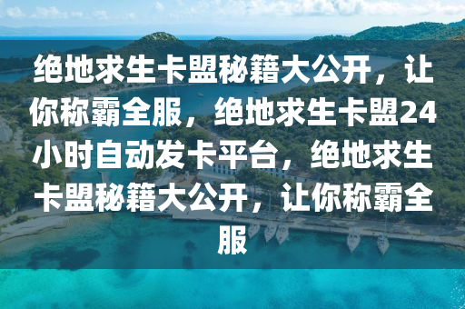 绝地求生卡盟秘籍大公开，让你称霸全服，绝地求生卡盟24小时自动发卡平台，绝地求生卡盟秘籍大公开，让你称霸全服