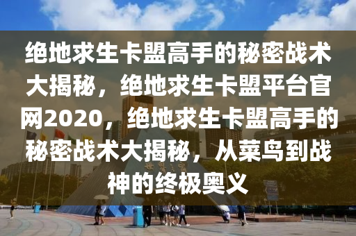 绝地求生卡盟高手的秘密战术大揭秘，绝地求生卡盟平台官网2020，绝地求生卡盟高手的秘密战术大揭秘，从菜鸟到战神的终极奥义