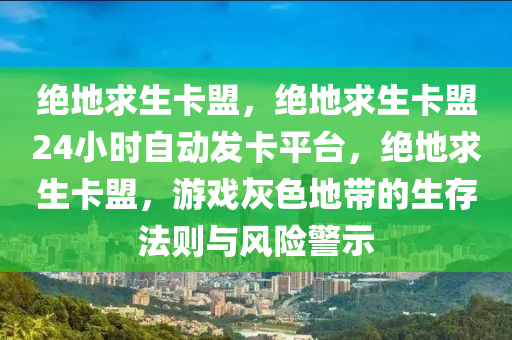 绝地求生卡盟，绝地求生卡盟24小时自动发卡平台，绝地求生卡盟，游戏灰色地带的生存法则与风险警示