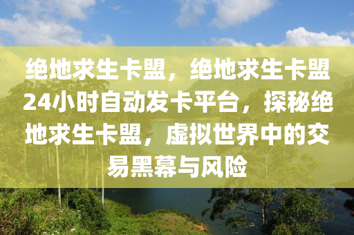 绝地求生卡盟，绝地求生卡盟24小时自动发卡平台，探秘绝地求生卡盟，虚拟世界中的交易黑幕与风险
