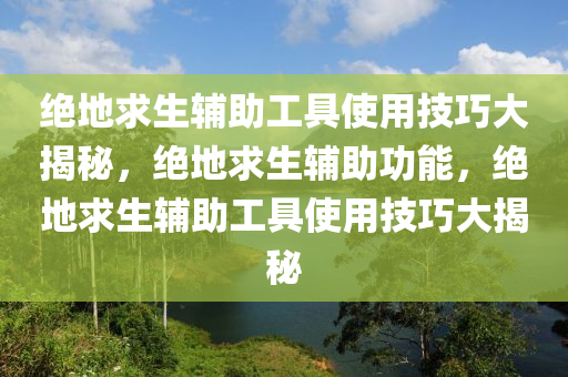 绝地求生辅助工具使用技巧大揭秘，绝地求生辅助功能，绝地求生辅助工具使用技巧大揭秘