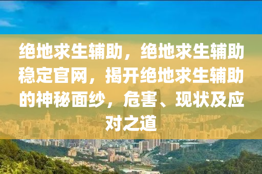 绝地求生辅助，绝地求生辅助稳定官网，揭开绝地求生辅助的神秘面纱，危害、现状及应对之道