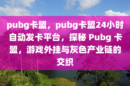 pubg卡盟，pubg卡盟24小时自动发卡平台，探秘 Pubg 卡盟，游戏外挂与灰色产业链的交织
