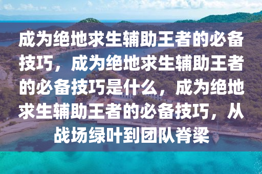 成为绝地求生辅助王者的必备技巧，成为绝地求生辅助王者的必备技巧是什么，成为绝地求生辅助王者的必备技巧，从战场绿叶到团队脊梁