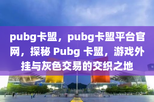 pubg卡盟，pubg卡盟平台官网，探秘 Pubg 卡盟，游戏外挂与灰色交易的交织之地