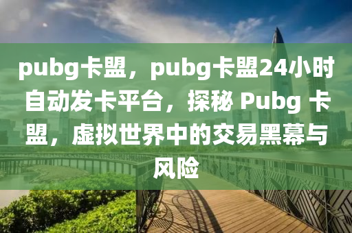 pubg卡盟，pubg卡盟24小时自动发卡平台，探秘 Pubg 卡盟，虚拟世界中的交易黑幕与风险