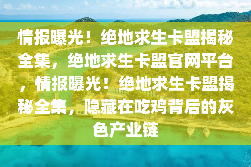 情报曝光！绝地求生卡盟揭秘全集，绝地求生卡盟官网平台，情报曝光！绝地求生卡盟揭秘全集，隐藏在吃鸡背后的灰色产业链