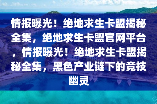 情报曝光！绝地求生卡盟揭秘全集，绝地求生卡盟官网平台，情报曝光！绝地求生卡盟揭秘全集，黑色产业链下的竞技幽灵