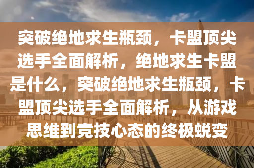 突破绝地求生瓶颈，卡盟顶尖选手全面解析，绝地求生卡盟是什么，突破绝地求生瓶颈，卡盟顶尖选手全面解析，从游戏思维到竞技心态的终极蜕变
