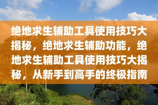 绝地求生辅助工具使用技巧大揭秘，绝地求生辅助功能，绝地求生辅助工具使用技巧大揭秘，从新手到高手的终极指南
