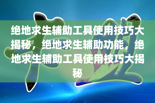 绝地求生辅助工具使用技巧大揭秘，绝地求生辅助功能，绝地求生辅助工具使用技巧大揭秘