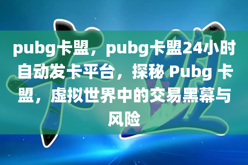 pubg卡盟，pubg卡盟24小时自动发卡平台，探秘 Pubg 卡盟，虚拟世界中的交易黑幕与风险