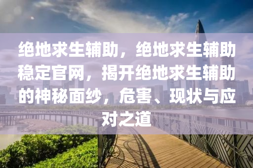 绝地求生辅助，绝地求生辅助稳定官网，揭开绝地求生辅助的神秘面纱，危害、现状与应对之道