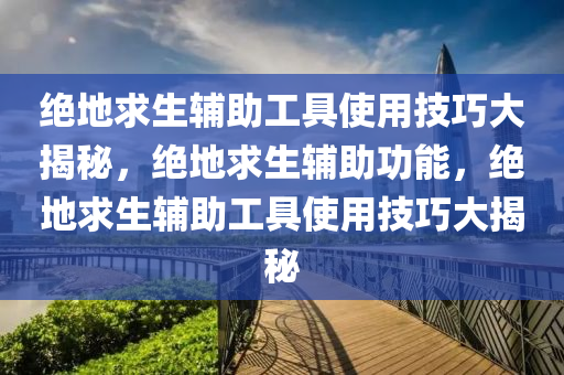 绝地求生辅助工具使用技巧大揭秘，绝地求生辅助功能，绝地求生辅助工具使用技巧大揭秘