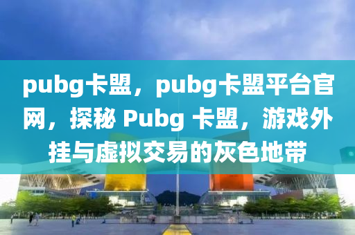 pubg卡盟，pubg卡盟平台官网，探秘 Pubg 卡盟，游戏外挂与虚拟交易的灰色地带