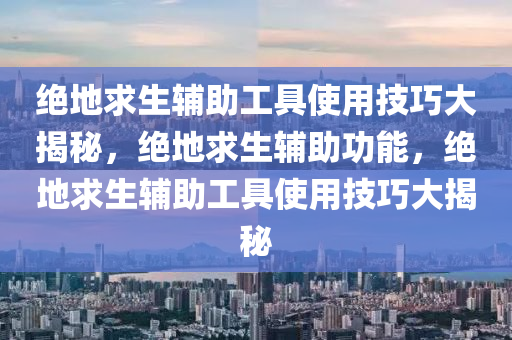 绝地求生辅助工具使用技巧大揭秘，绝地求生辅助功能，绝地求生辅助工具使用技巧大揭秘